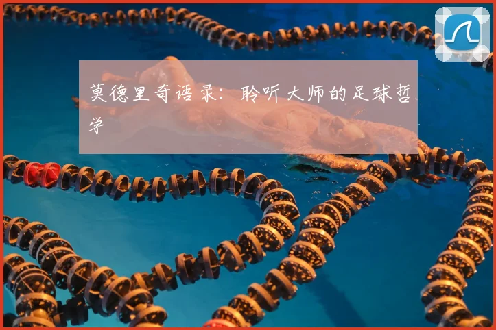 莫德里奇语录：聆听大师的足球哲学